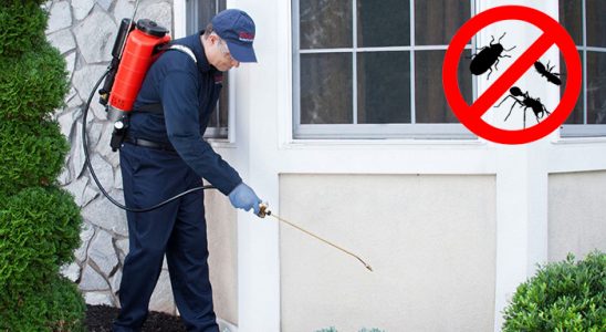 Abana Bit İlaçlama böcek ilaçlama ve haşere kontrolü — ilaclama-tr.com